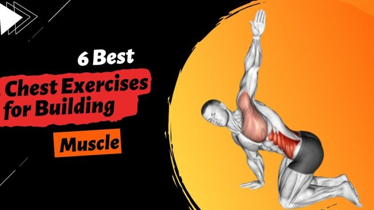 Best Chest Exercises for Building Muscle I