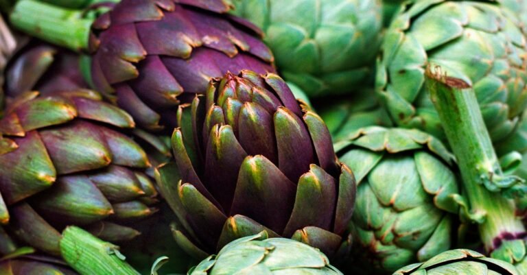 Which vegetables contain the most protein?