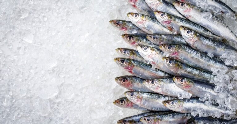 Sardine fast: What is it, and is it healthy?