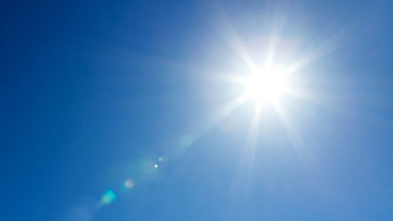 Primal Blueprint Law 8: Get Plenty of Sunlight Primal Blueprint Law 8: Get Plenty of Sunlight