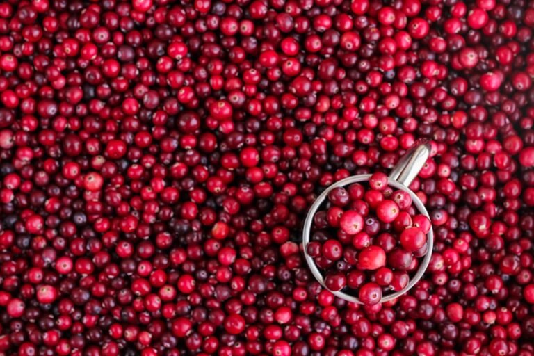 Meet the TikTok Candied Cranberries Everyone’s Obsessed With This Season
